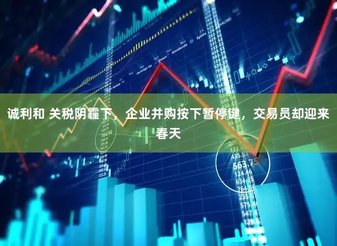诚利和 关税阴霾下，企业并购按下暂停键，交易员却迎来春天