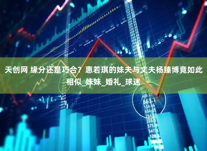 天创网 缘分还是巧合？惠若琪的妹夫与丈夫杨臻博竟如此相似_妹妹_婚礼_球迷