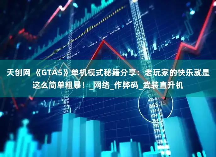 天创网 《GTA5》单机模式秘籍分享：老玩家的快乐就是这么简单粗暴！_网络_作弊码_武装直升机
