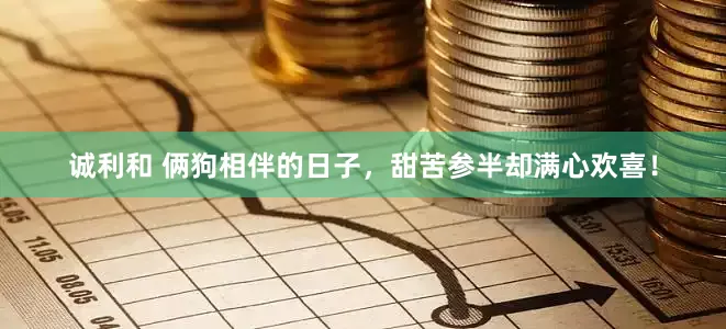 诚利和 俩狗相伴的日子，甜苦参半却满心欢喜！