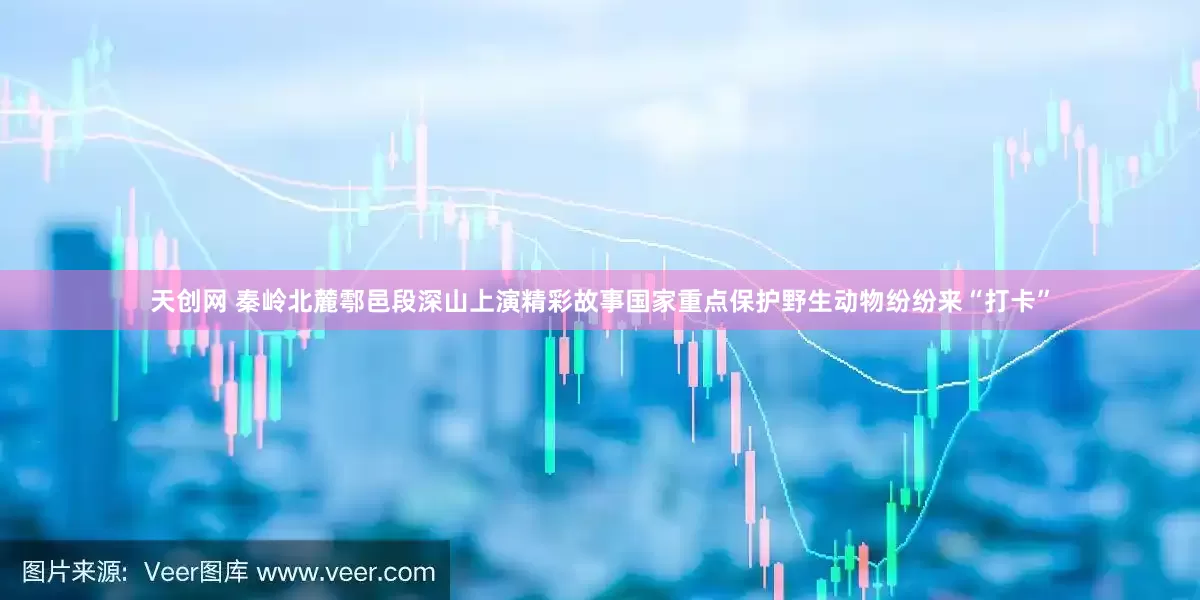 天创网 秦岭北麓鄠邑段深山上演精彩故事国家重点保护野生动物纷纷来“打卡”
