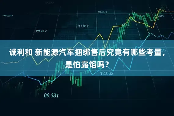 诚利和 新能源汽车捆绑售后究竟有哪些考量，是怕露馅吗？